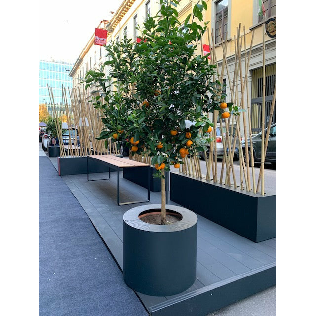 Coprivaso Vortex D'SIGN